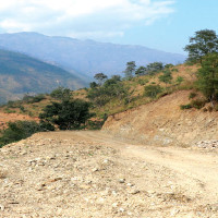 सार्वजनिक यातायात सुधारका लागि कार्यदल गठन