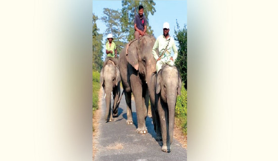 रामसारकलीलाई तालिम दिइँदै