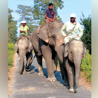 बोतल र जर्किनमा पेट्रोलियम पदार्थ बिक्रीमा रोक
