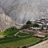 बिरुवामा बन्यो आधारभूत अस्पताल