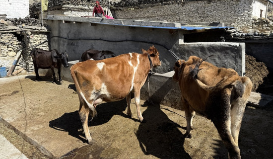 बिरुवामा बन्यो आधारभूत अस्पताल
