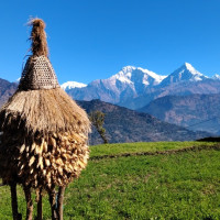 नेपाल बैंक र पाटन हेल्थ ल्याब प्रालिबिच सम्झौता