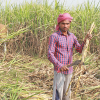 खानेपानी तथा सरसफाइ डिभिजन प्रमुखसहित पाँच जनाविरुद्ध ११ लाख बढीको भ्रष्टाचार मुद्दा