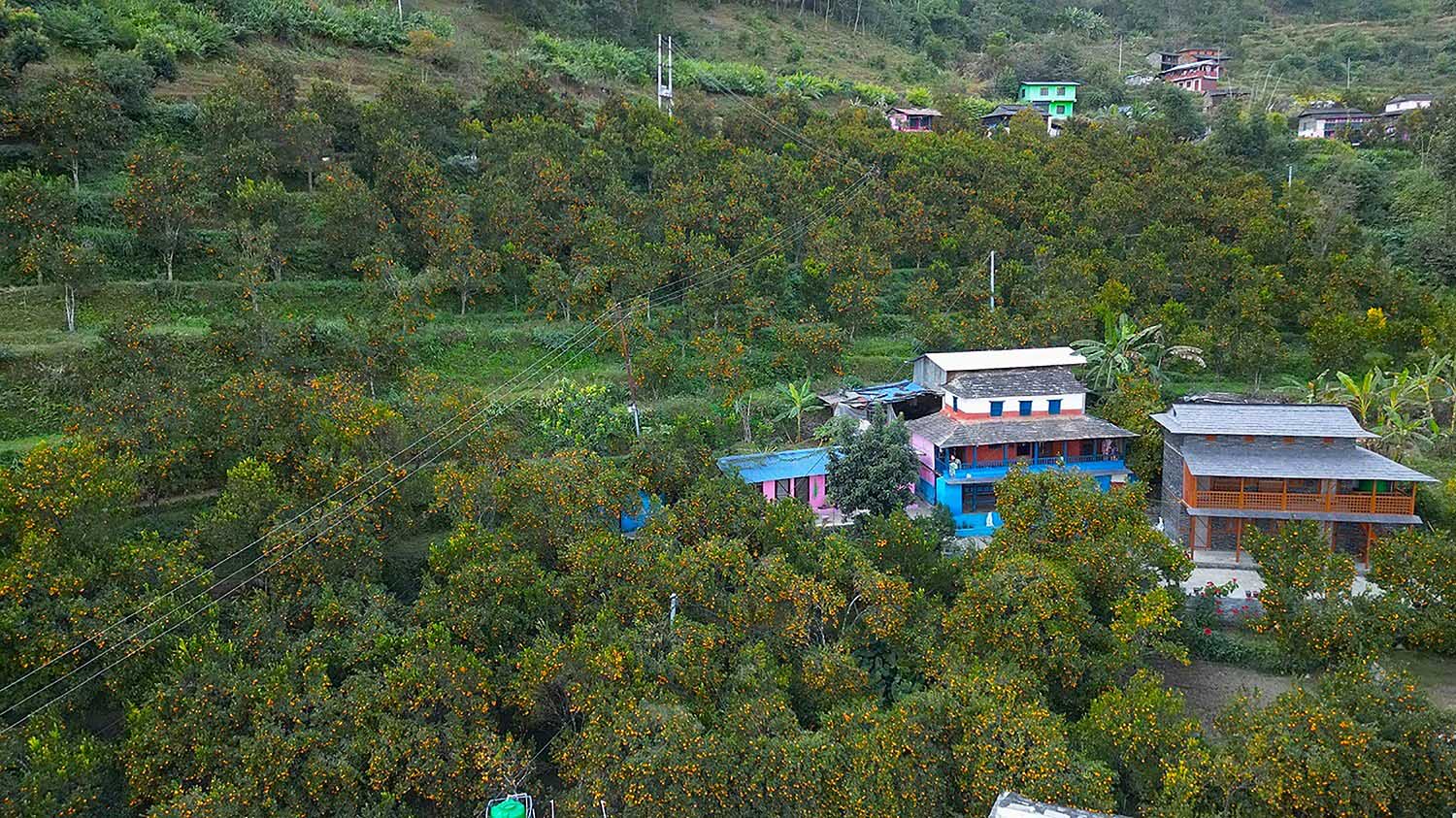 सुन्तला बगान