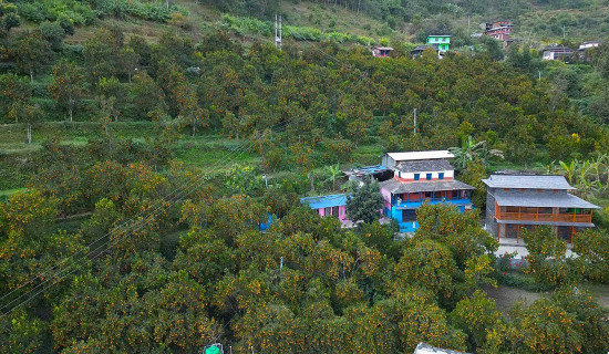 ‘क्रस बोर्डर’ औद्योगिक   क्षेत्र निर्माण गर्न सुझाव