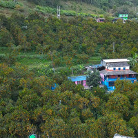 विराटनगरलाई ७७ रनले हराउँदै सुदूरपश्चिम एनपिएलको फाइनलमा