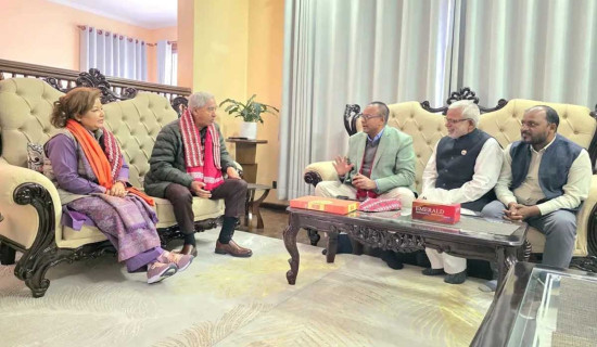 मुख्यमन्त्री यादव र सभापति देउवाबिच भेटवार्ता