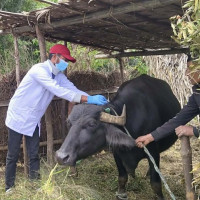 ‘सेनाको चेली’ उत्कृष्ट लघु चलचित्र