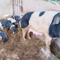 सरकारी विद्यालयमा बच्चा पढाउनैपर्ने सान्दर्भिकता  !