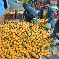 सङ्घीय शासनव्यवस्था : विषयगत प्रश्नोत्तर