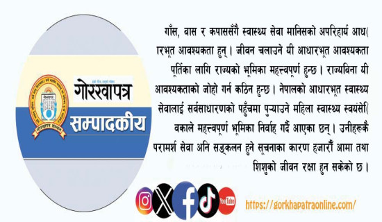 स्वास्थ्य सेवाका वाहक