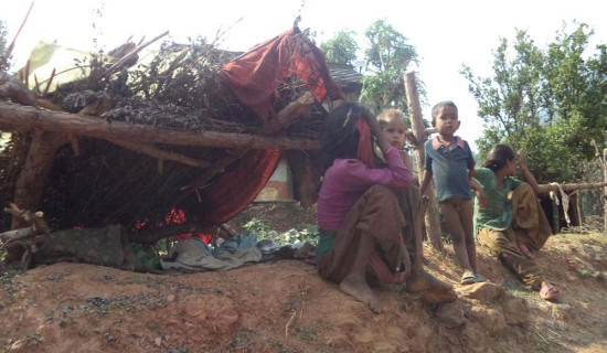 फेरि बनाउन थालियो छाउगोठ