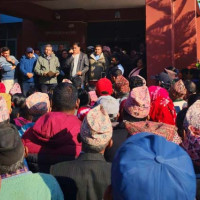 स्वास्थ्य सेवाका वाहक