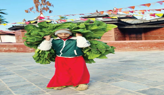 एक पात सागले सात जनालाई छाक