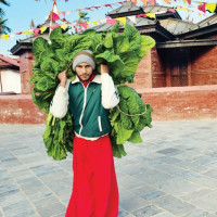 डेढ अर्ब बिगो भराउन फैसला