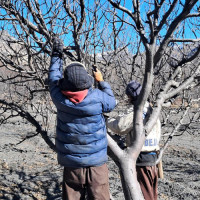 शिक्षक नियुक्तिका लागि पाँचौँ पटक विज्ञापन आह्वान : परेन निवेदन