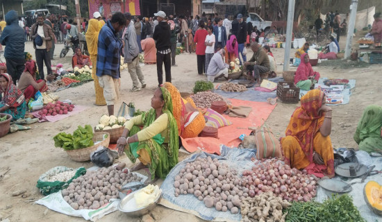गहुँ खेती गर्नेलाई प्रतिकेजी सात रुपियाँ अनुदान