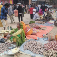 पडरियामा कृषि हाटबजार लगाउन सुरु