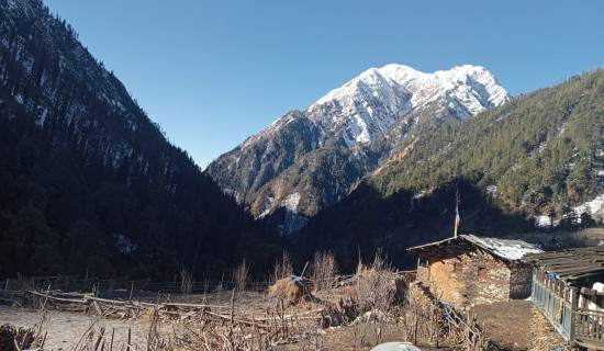 उपचारको अभावमा किरण बन्दकोठामा