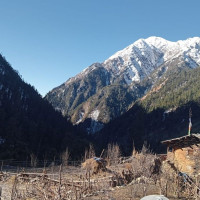 प्रदेश राजधानी सार्ने कुरा स्वीकार्य हुँदैन: पूर्वमन्त्री भट्ट