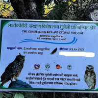 बागलुङको कालिका मन्दिर जीर्णोद्धार