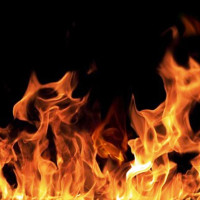 अवैध रूपमा सामुदायिक वनको माटो बिक्री