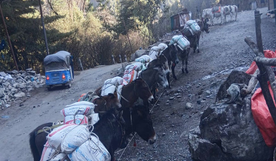 अस्ट्रेलियाको बेरोजगारी दर ३.८ प्रतिशतले  वृद्धि