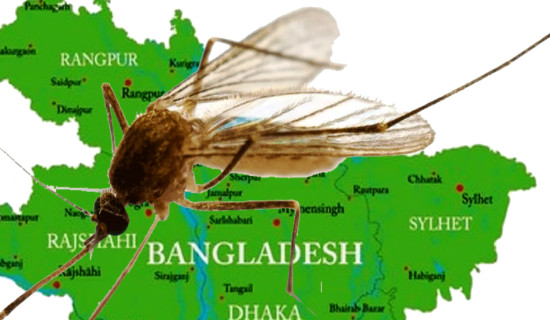 बङ्गलादेशमा सन् २०२५ मा डेङ्गुका कारण चार सयभन्दा बढीको मृत्यु