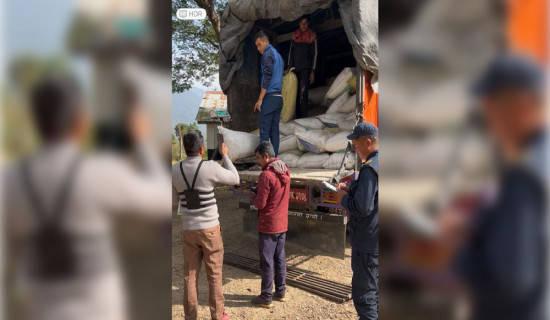 साढे चार लाखको टिमुरसहित एक पक्राउ