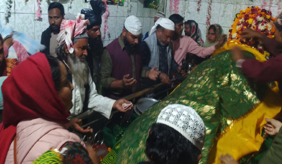 नेपाल पञ्चाङ्ग निर्णायक समितिको कार्यकारी निर्देशकमा पन्थी