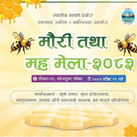 खुल्ला पालिका स्तरीय क्रिकेटको उपाधी देवदह रुपन्देहीलाई