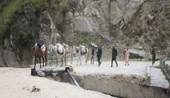 लोकमार्गका पुल निर्माण अलपत्र