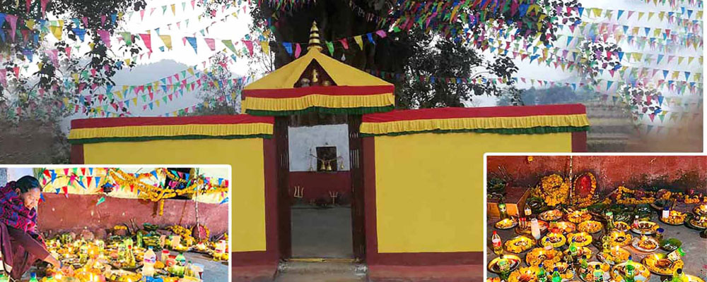 समावेशीकरणको दिशामा नयाँ फड्को : गोरखापत्रद्वारा प्रकाशित माझी भाषा