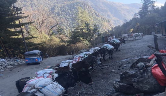 सहुलियतमा खाद्यान्न वितरण