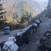 तनहुँ २ प्रदेशसभा (ख) मा कांग्रेसका आले विजयी