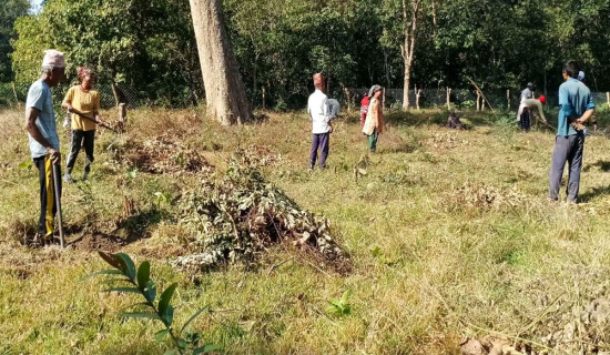 बञ्जर र बगर क्षेत्रलाई हरियाली बनाउँदै बाँकेका सामुदायिक वन