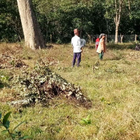 बञ्जर र बगर क्षेत्रलाई हरियाली बनाउँदै बाँकेका सामुदायिक वन