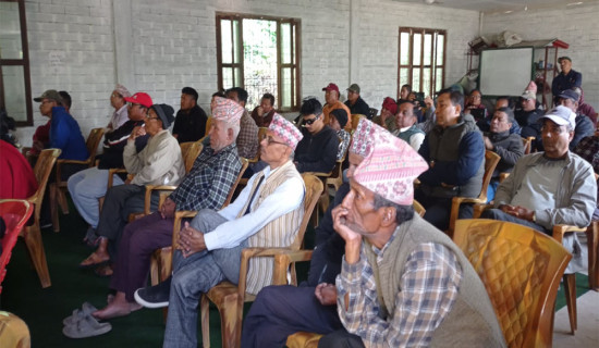 खानामा प्रिजर्भेटिभ्स कत्तिको सुरक्षित