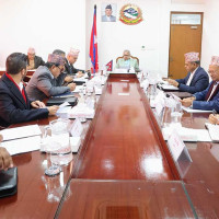 रवि र छविको मुद्दाको सुनुवाइ स्थगित