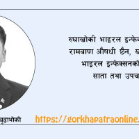 सरकार–जेनजी सम्झौता अनुमोदन