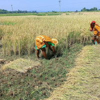 सरकार–जेनजी सम्झौता अनुमोदन