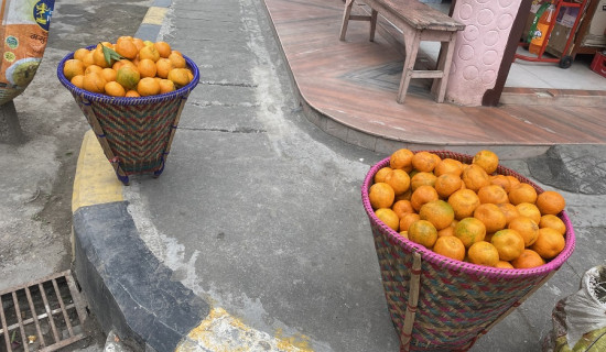 सहकारीका सदस्यद्वारा सामूहिक तरकारी खेती