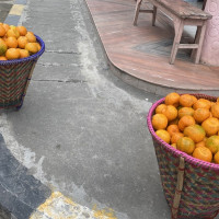 बगर खेतीबाट मनग्गे आम्दानी