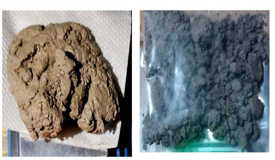 लागुऔषध नियन्त्रणमा विशेष अपरेसन