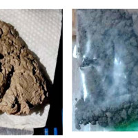 दुईसय कृषकलाई कृषि औजार सामग्री वितरण