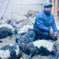 मौसमी रुघाखोकीप्रति सजगता