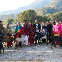 यस्तो छ आजको विदेशी मुद्राको विनिमयदर