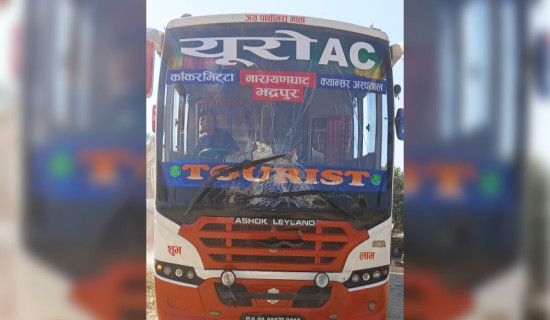 बसको ठक्करबाट साइकल चालकको मृत्यु