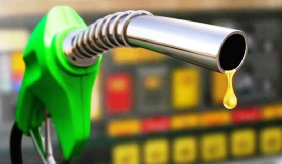 इन्डोनेसिया नवीकरणीय ऊर्जातर्फ उन्मुखः २०२६ पछि डिजेल आयात रोकिने