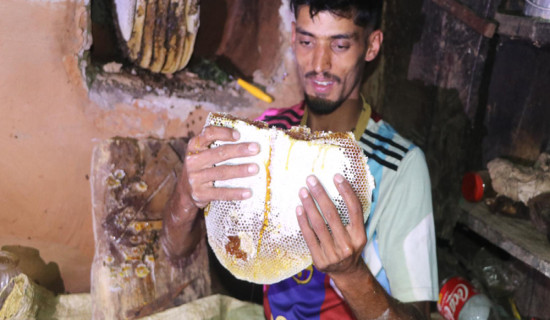 पूजा गर्ने खोपाको मौरी घार आम्दानीको स्रोत